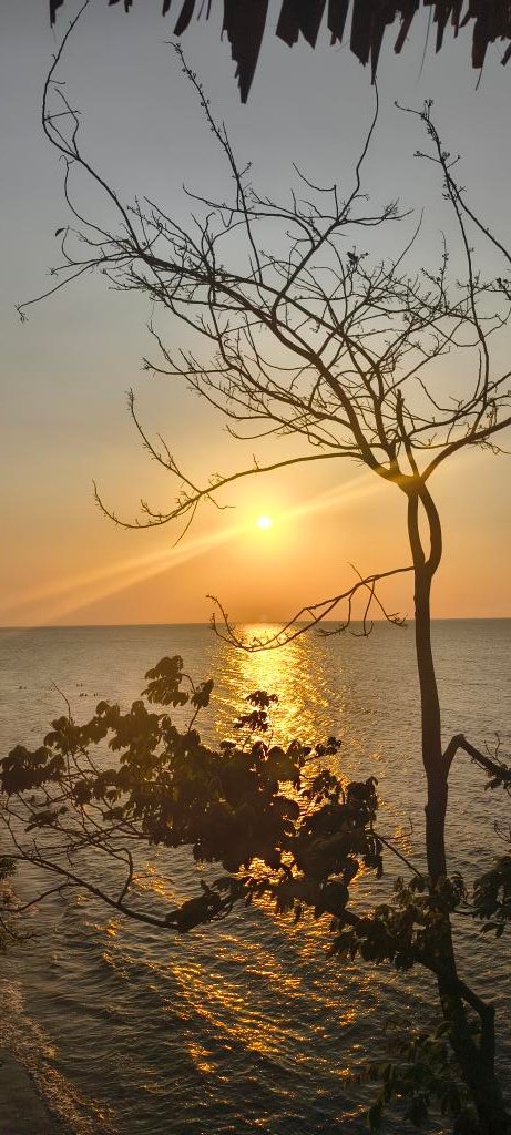 Un atardecer es un recordatorio visual de que los finales pueden ser increíblemente hermosos y que cada cierre es solo la preparación para un nuevo comienzo.