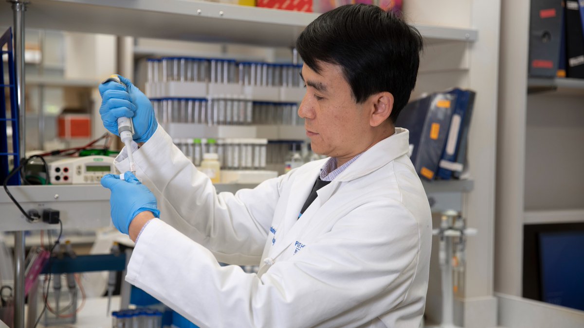 fourdiamonds's tweet photo. May is National Cancer Research Month. 🔬

For many kids, the impact of cancer continues long after treatment. Four Diamonds researchers are working toward safer treatments so kids can thrive.

#FTK #NationalCancerResearchMonth #ConqueringChildhoodCancer https://t.co/JeCRrWecOE