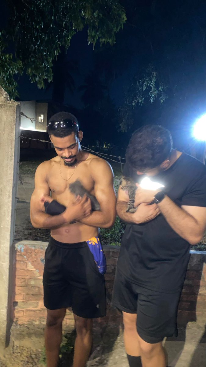 eu e jp nos assumimos e adotamos um casal de gatinhos