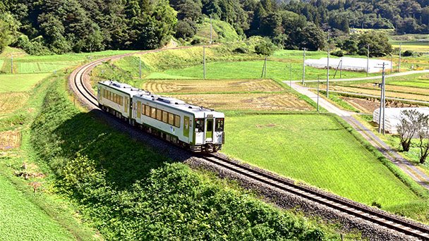 Shiroya tweet media