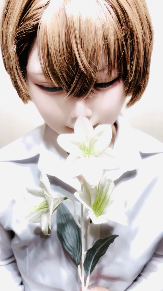 琉琵-lubi- tweet media
