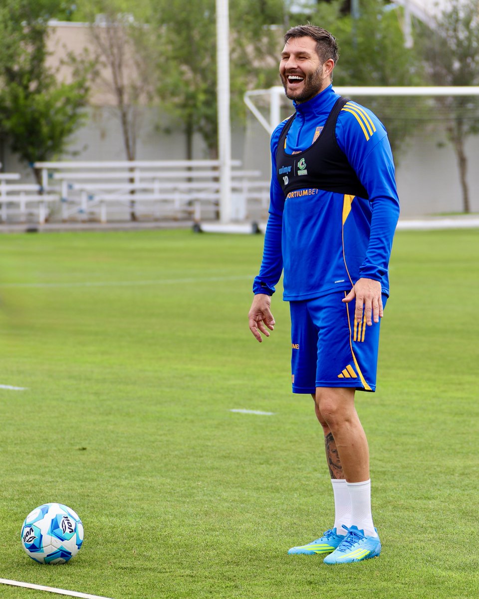 Club Tigres 🐯 tweet media