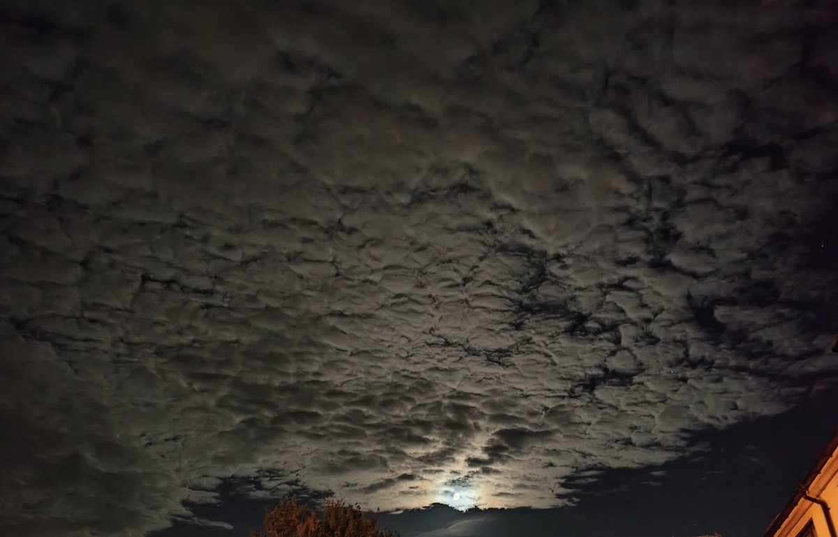 SlainSouth's tweet photo. One of the bonuses of patrolling is seeing this sort of sight. 
#fullmoon
#flowermoon
#ukcatkiller
#ukanimalkiller
#notonourwatch https://t.co/CFyRcUS60O