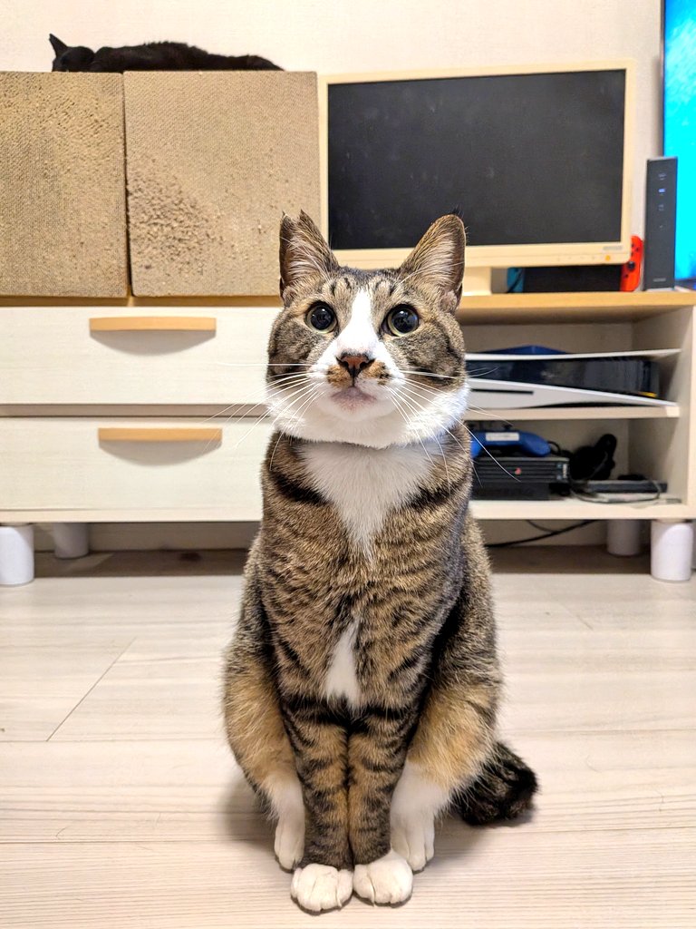 らいあん tweet media