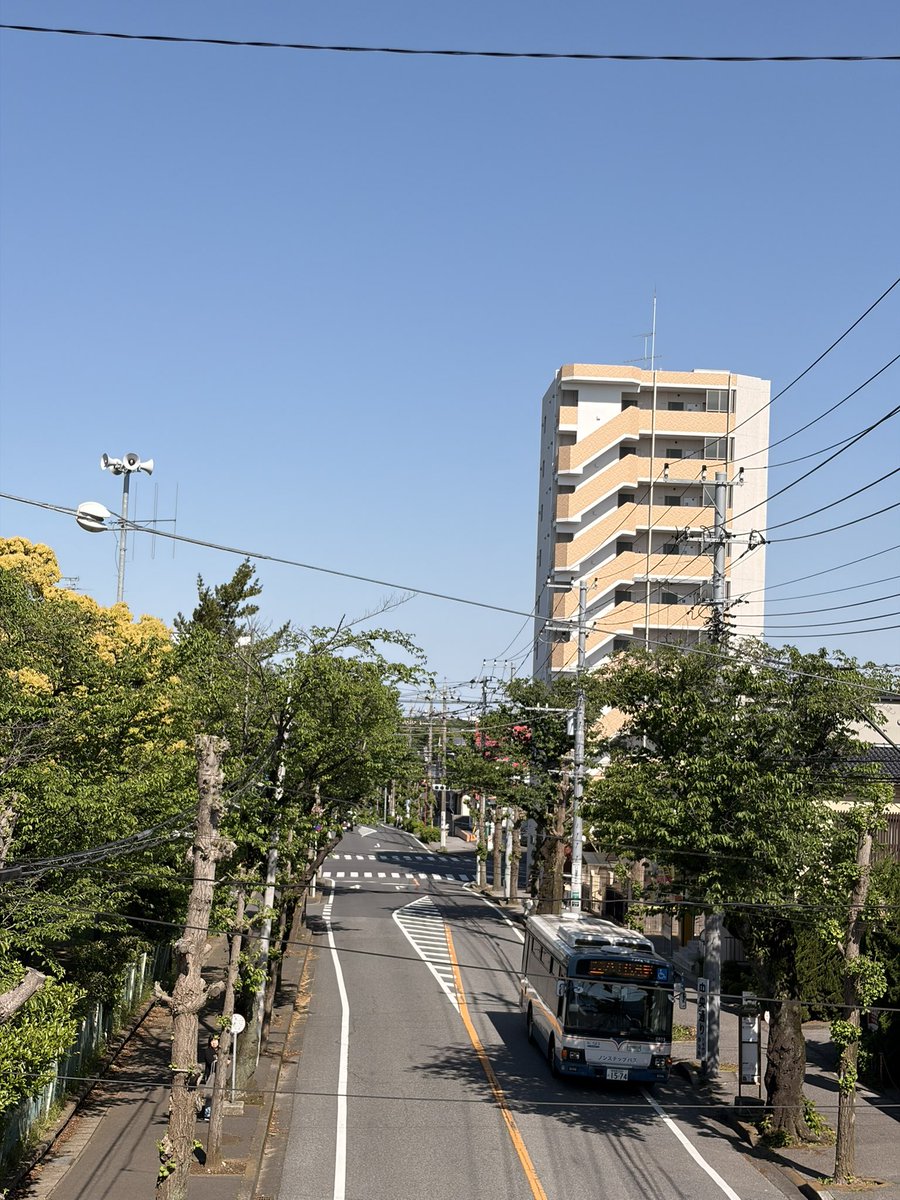 5/2 おはようございます。
今日は快晴！
月初の仕事！
土曜日、GW、シフト制の経験者ですので、面構えが違うと思いたい。
今日も一日よろしくお願いします。