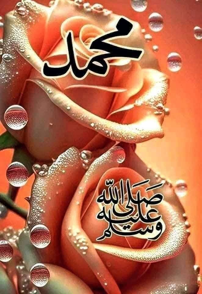 عبیرہ فاطمہ tweet media