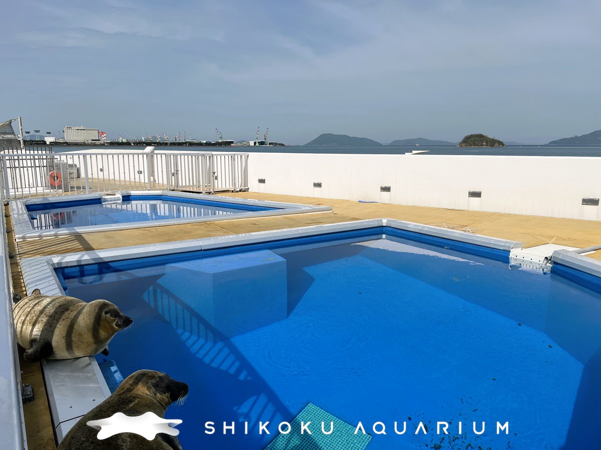 四国水族館 【公式】 tweet media