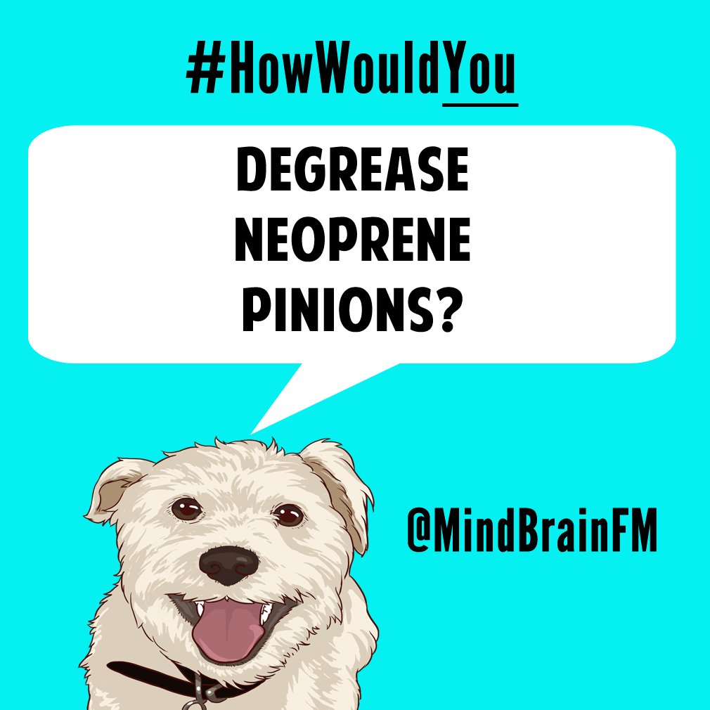MindBrainFM's tweet image. Music for your brilliant #brainstorming sessions @ QWE.FM 🎵  ⚡️💡😎