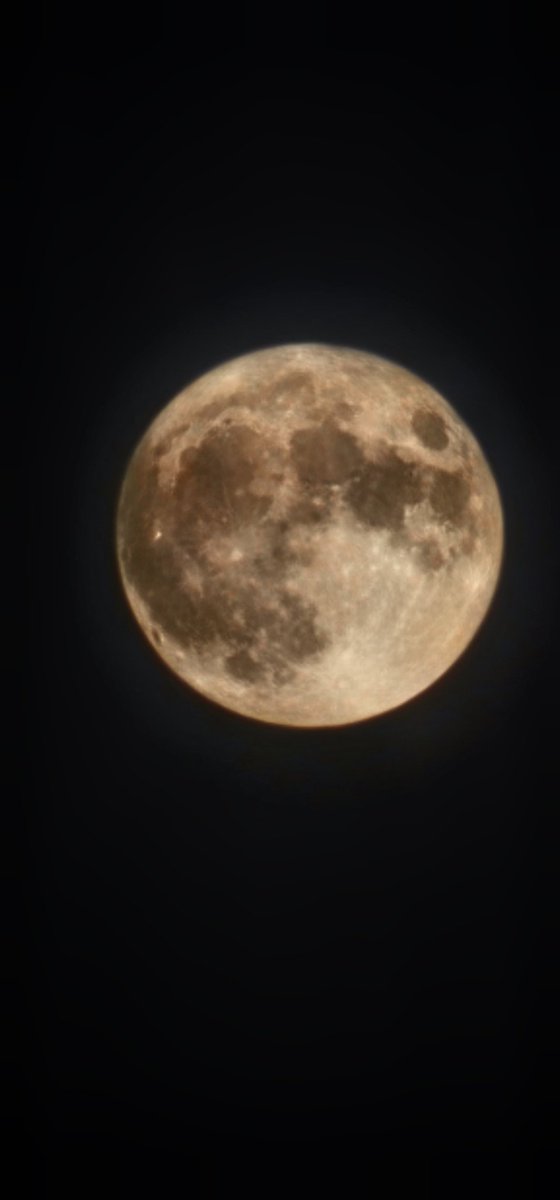 FlowerMoon tweet media