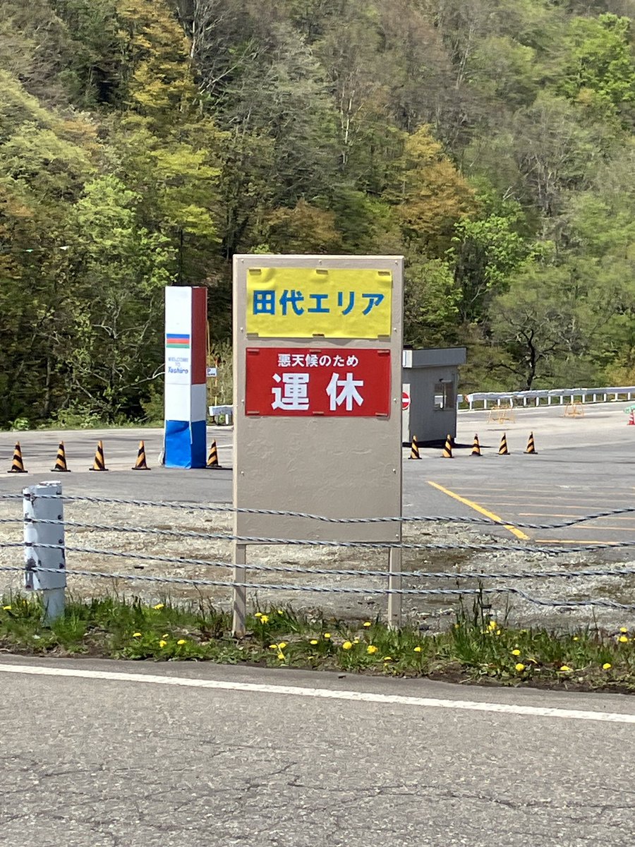 シン・トマトジュース(ふみ) tweet media