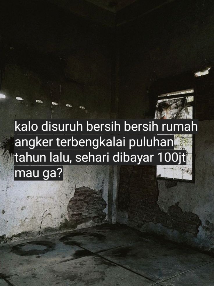 aril piterpen tweet media