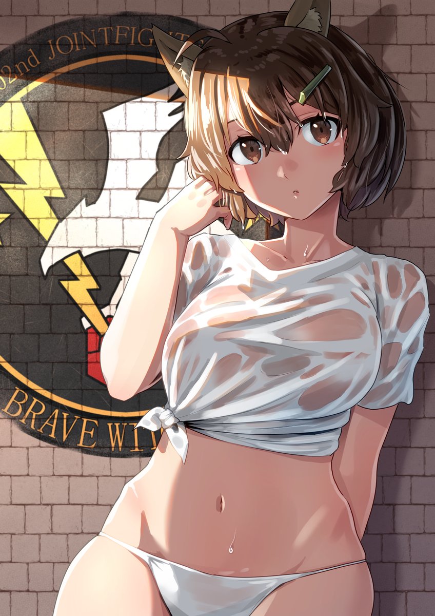 長谷川 tweet media