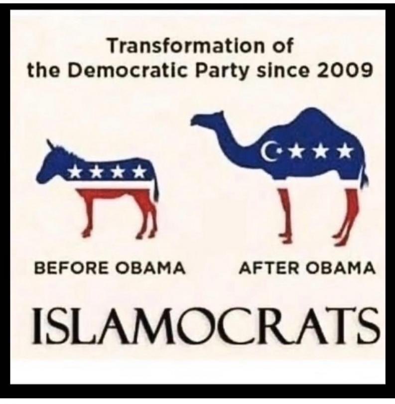 bigwoods🇺🇸 tweet media