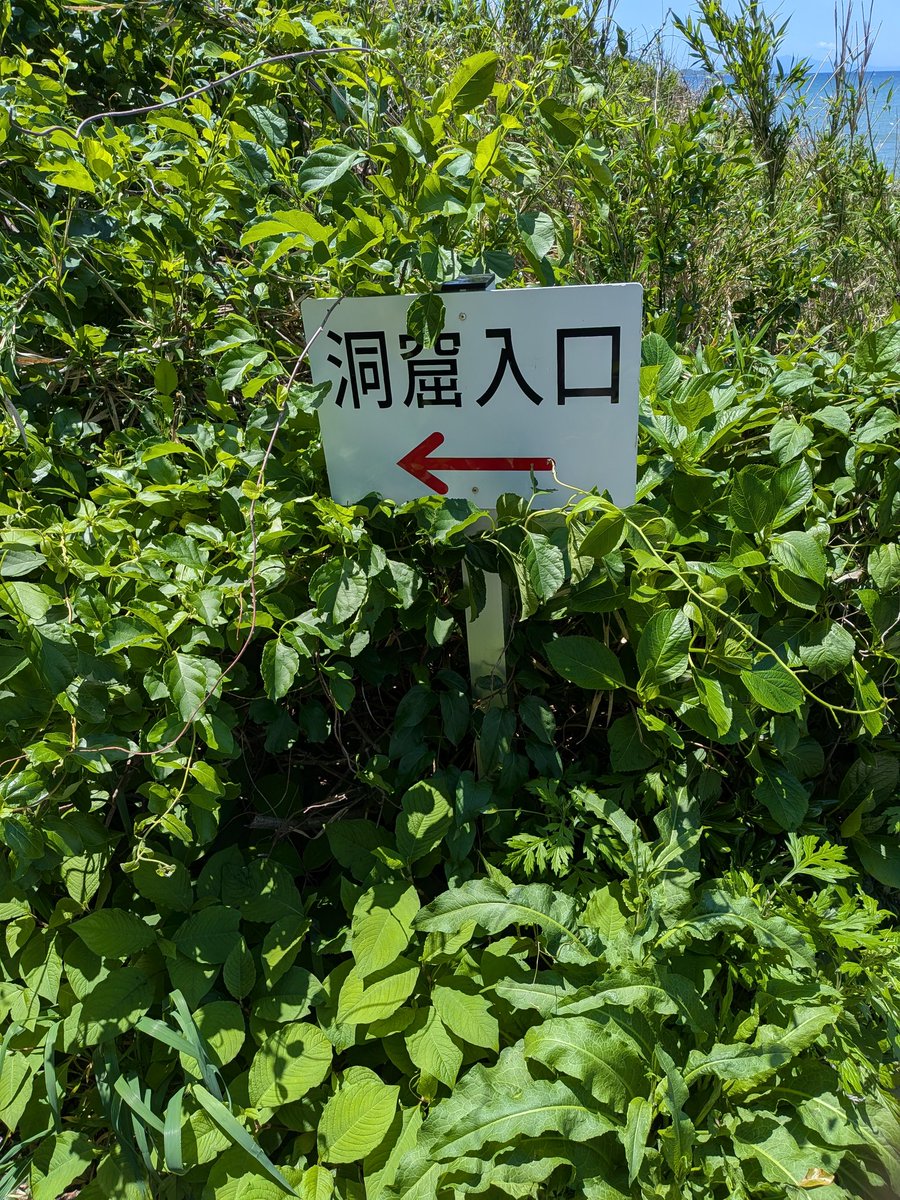 ヴ王ﾌﾌｰﾁｬﾁｬ tweet media