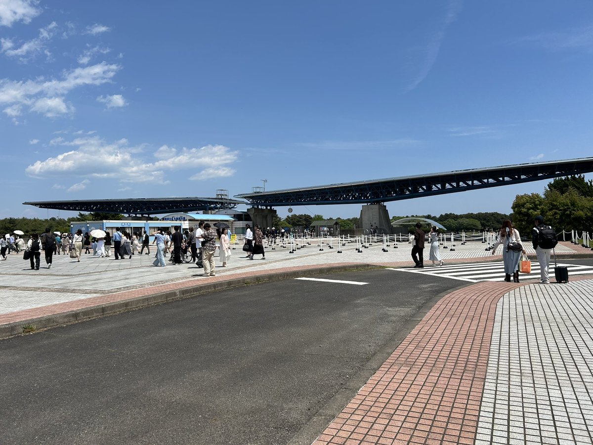 スーア先生 tweet media