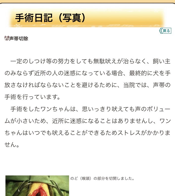 犬は家族 tweet media