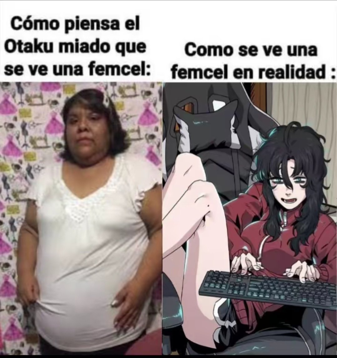 idol vtka♀️🇫🇰 tweet media