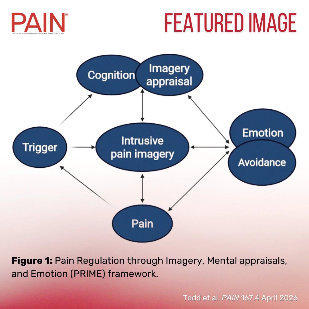 IASPpain's tweet image. In this week’s #PAIN Featured Image, @JemmaLTodd et al. propose a broad new theoretical framework that positions pain-related mental imagery as a key amplifier of the pain experience. Learn more at bit.ly/4tEJwP7