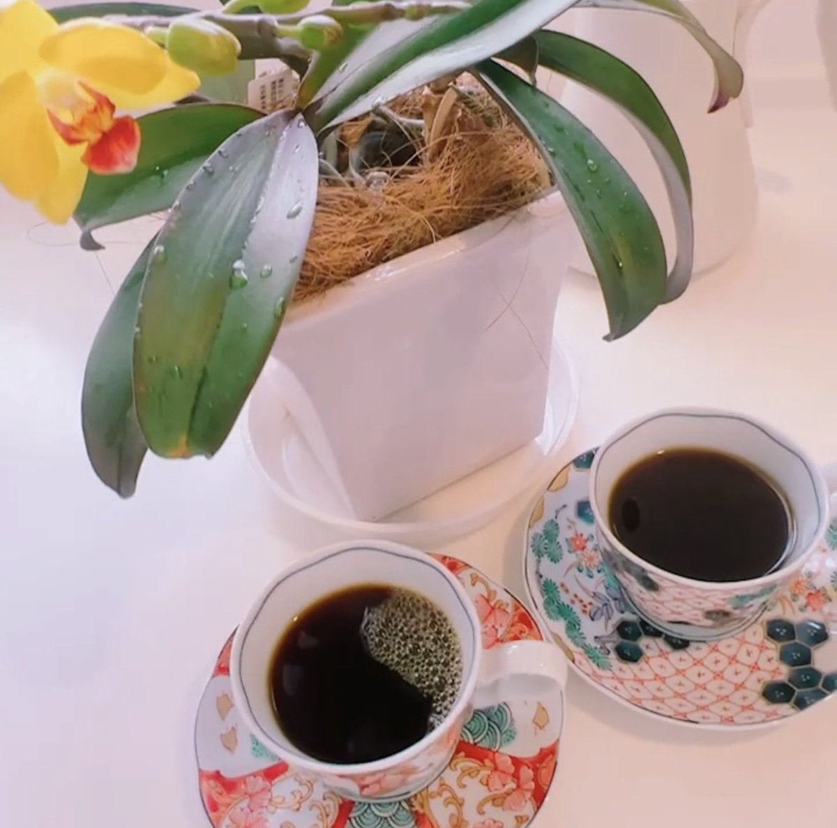 TamaCo_ffee（たまこーひー） tweet media