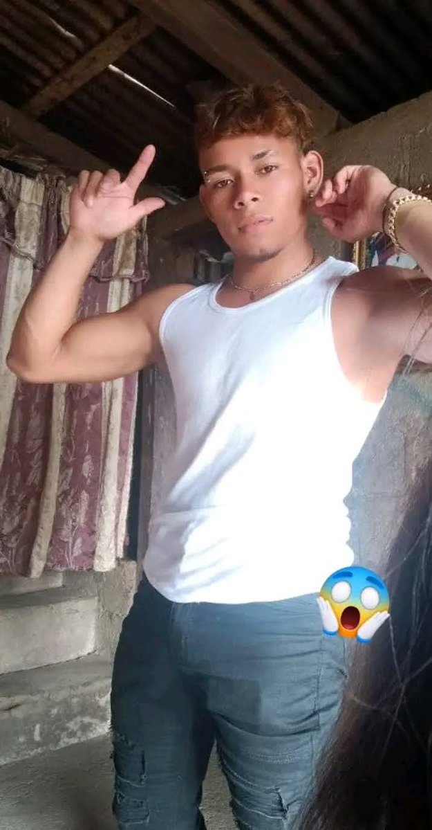 pollo tweet media