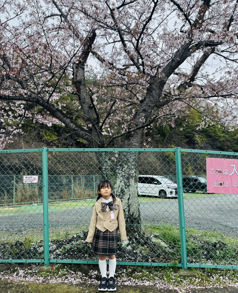 yu_chibi24's tweet photo. 👧🏻6歳11ヶ月 https://t.co/3TPou665kg