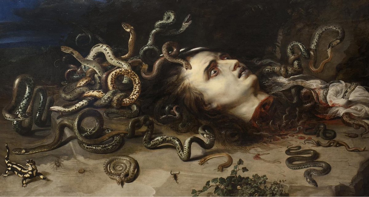 Peter Paul Rubens 
(Flemish, 1577-1640)

Head of Medusa 
ca. 1617-1618
Oil on oak
60.6 x 112 cm

In Rubens’ “Head of Medusa,” the viewer is confronted with the haunting visage of the Gorgon. Rendered in vivid strokes of oil on oak, the painting captures the intensity of Medusa’s