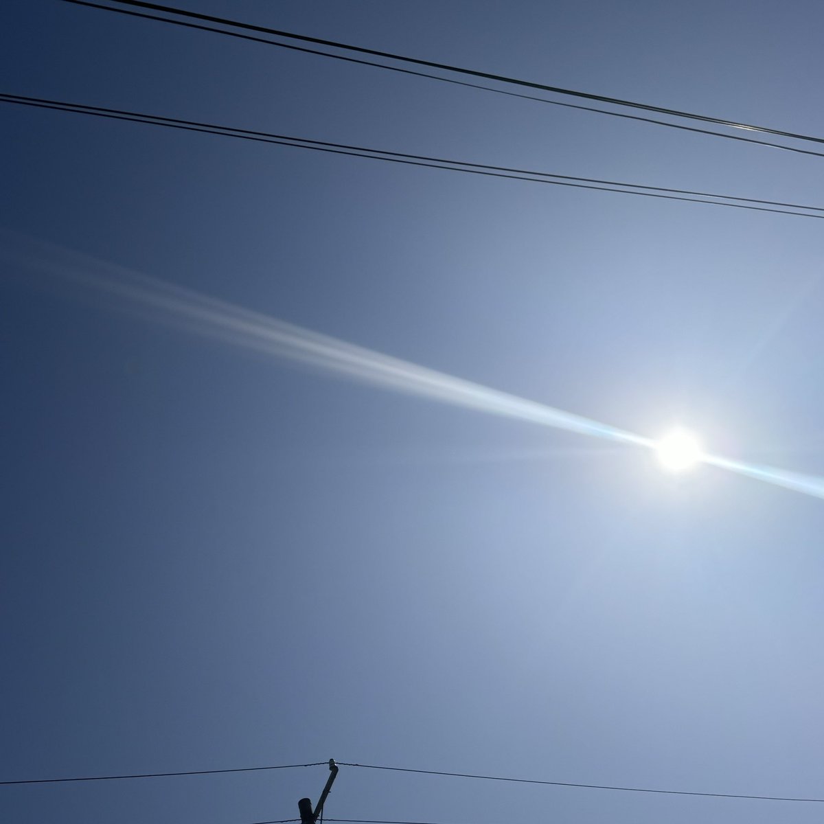 おはようございます(っ﹏-๑)

連休初日はいい天気☀️