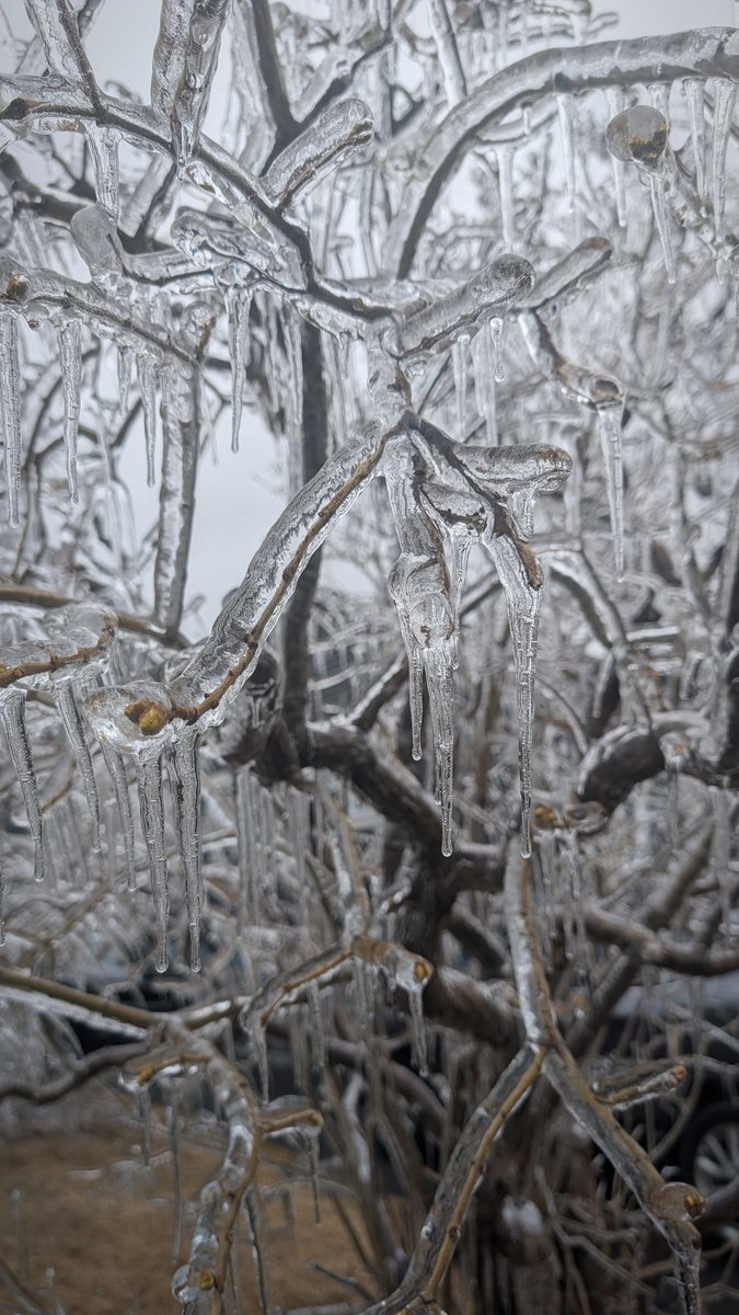 kristaroses666's tweet photo. Everything outside has been consumed with icicles https://t.co/a2r0DtAdqo