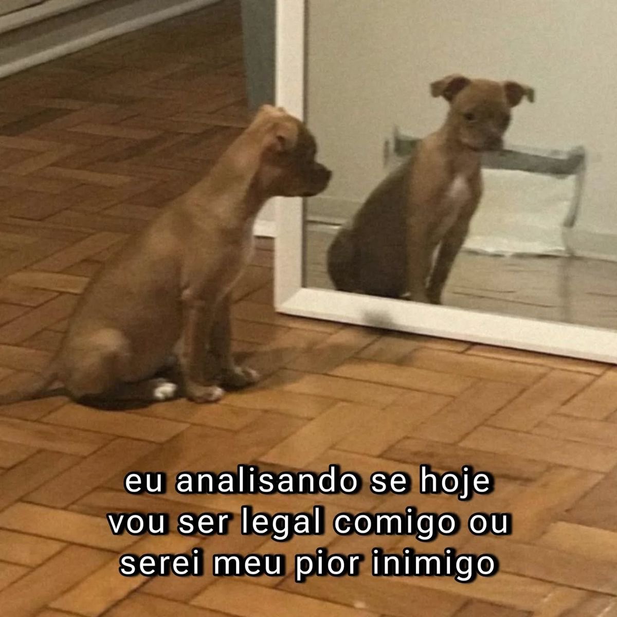 Pagina lixo (@paginalixo1) on Twitter photo 