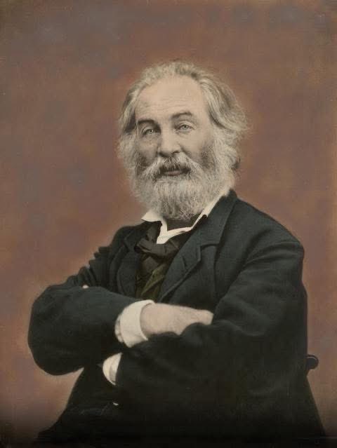 SONG OF MYSELF V 

I mind how we lay in June, such a transparent summer morning;

You settled your head athwart my hips and gently turn'd over upon me,

And parted the shirt from my bosom-bone, and plunged your tongue to my bare-stript heart,

And reached till you felt my beard,