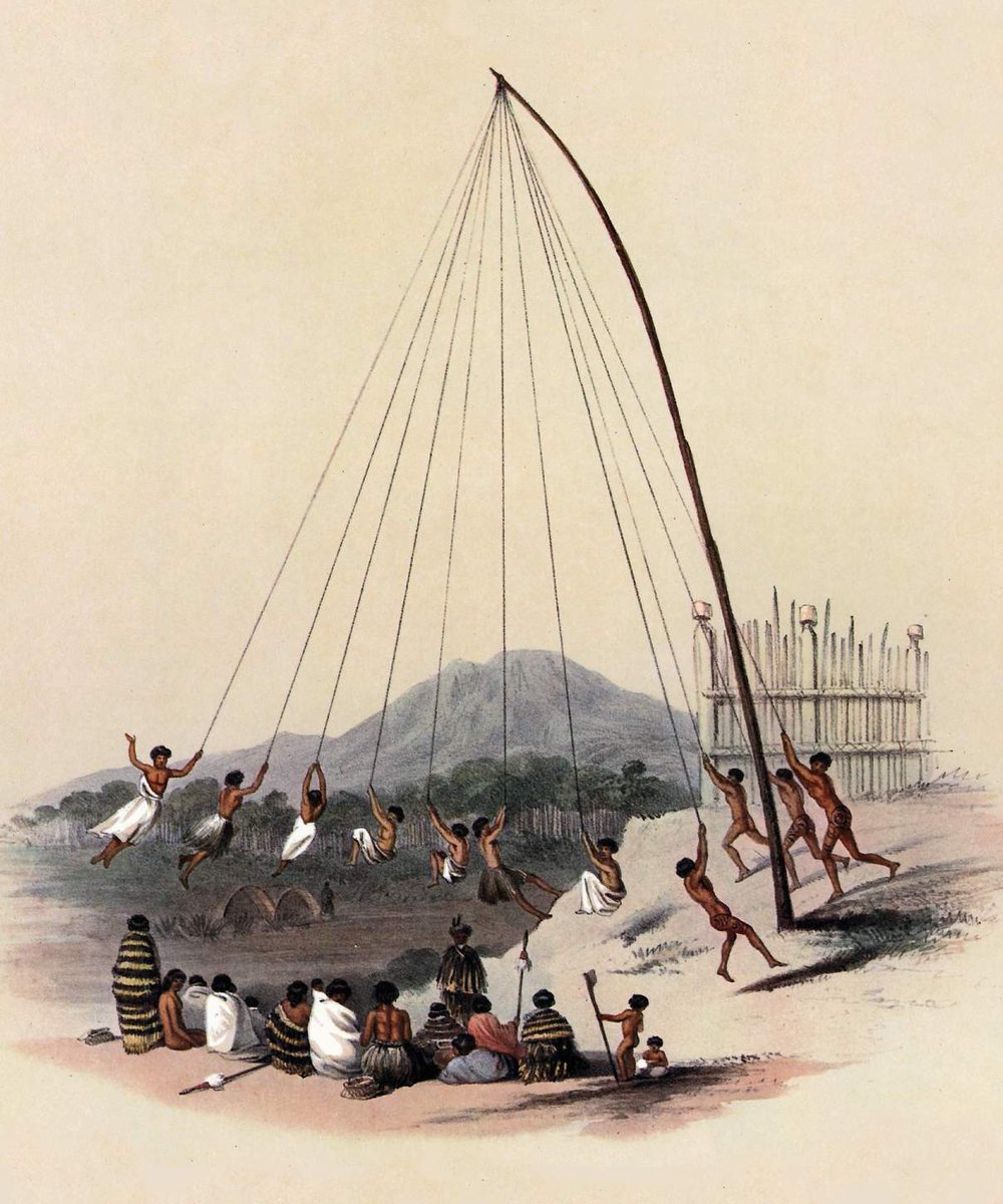 Early Aotearoa New Zealand tweet media