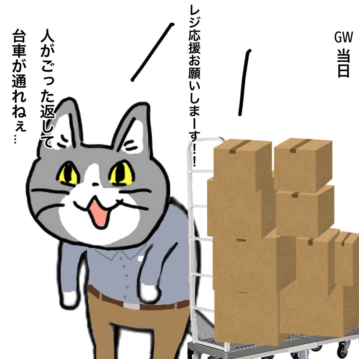 ホームセンター猫 tweet media