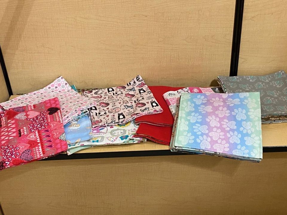 IBRescue's tweet image. 🐾 Calling all #blanketfairies! 
Help our rescued kittens &amp;amp; puppies go home wrapped in love. 💖
We need handmade 24x24" blankets for our #tinybutmighty. 
Join our caring community—your creativity can change a life. 🧶
#ItTakesAVillage #CraftingForACause #KittenRescue #PuppyRescue