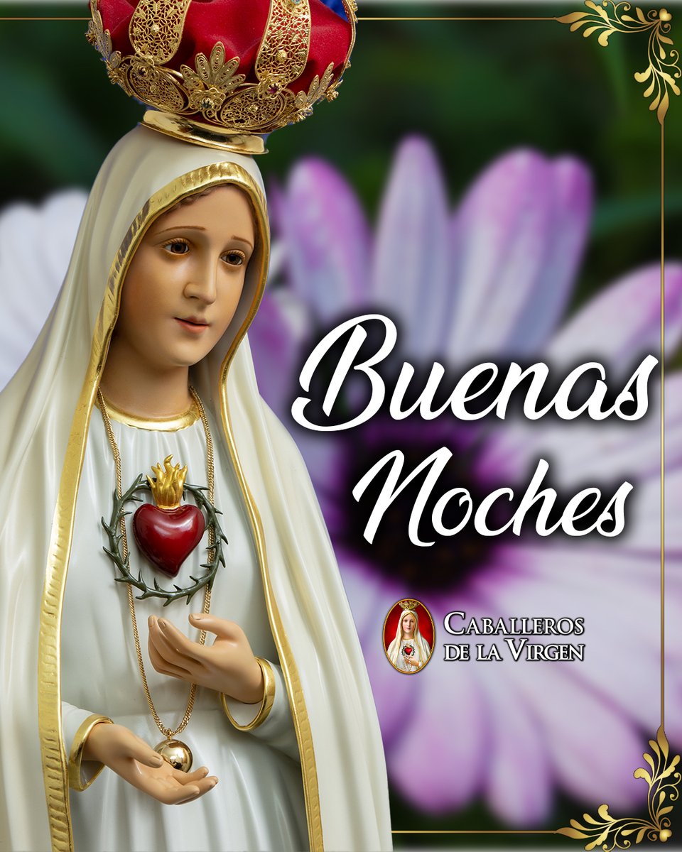 Caballeros de la Virgen tweet media