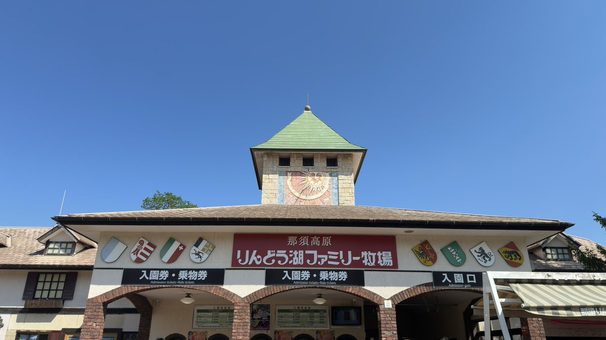 ゼンカイザワ tweet media