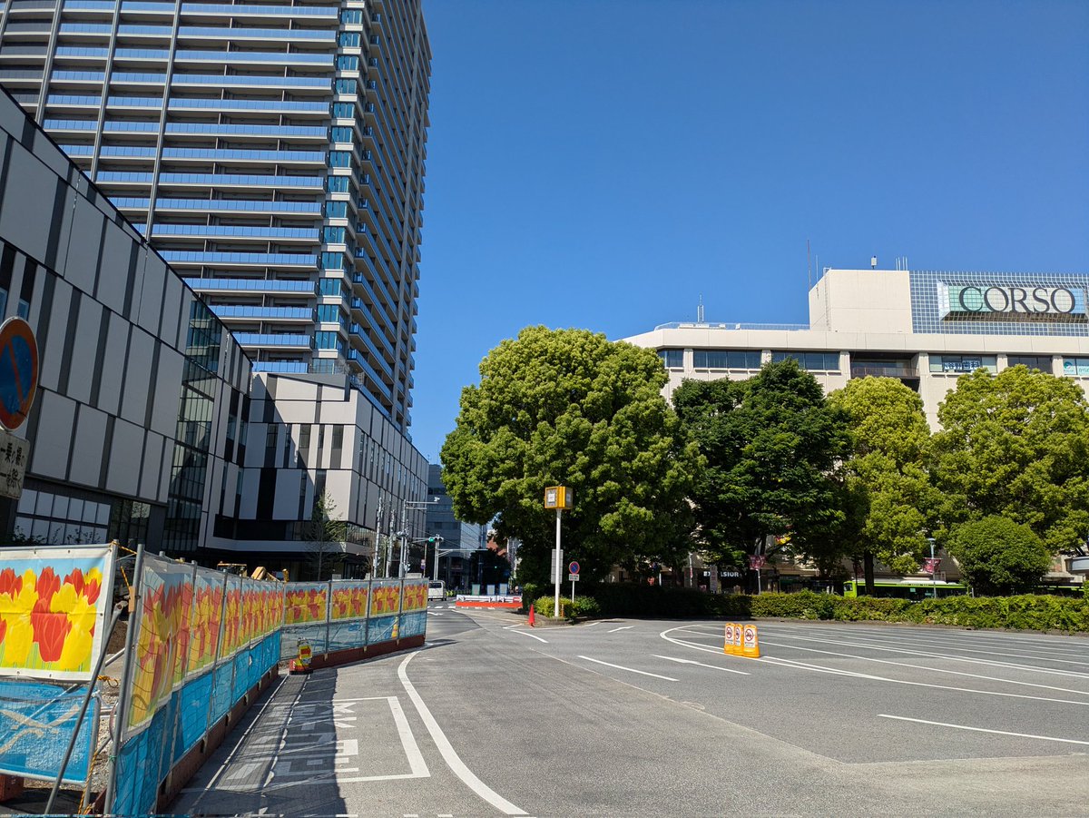 マイトラ tweet media