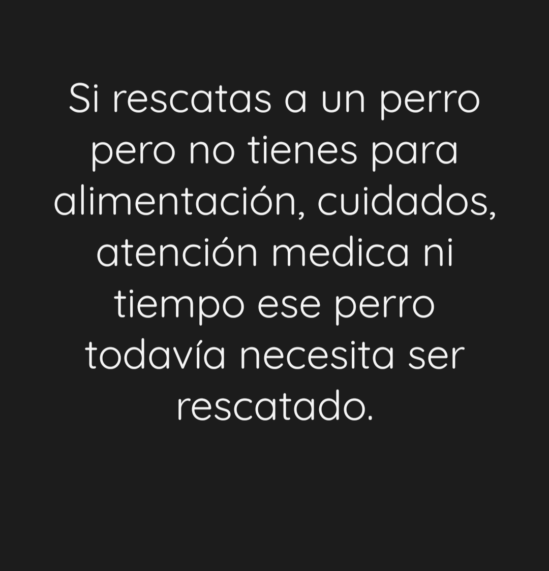 Abril Planeta tweet media