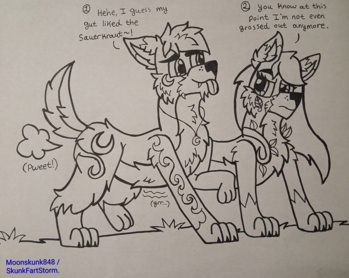 merskunk848's tweet photo. Artemis and sauerkraut do NOT mix! Tragically, Gaia's nose has experienced many smelly traumas, but at least she has a bit of immunity. https://t.co/5enYTK0kB7