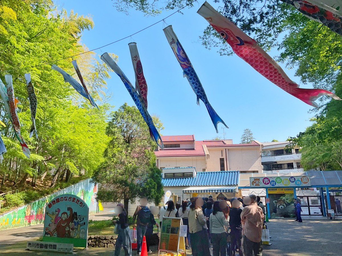 市川市動植物園（公式） tweet media