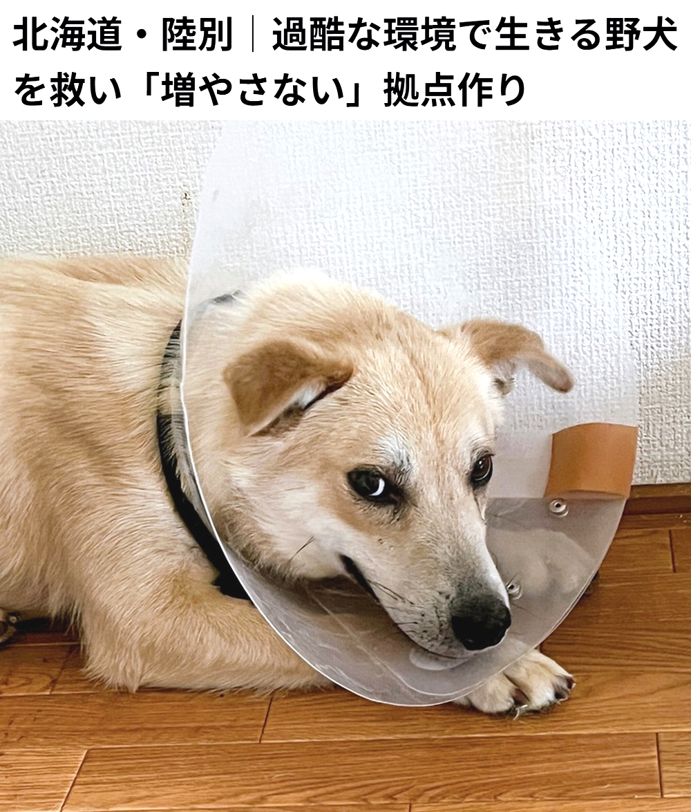 shu ota tweet media