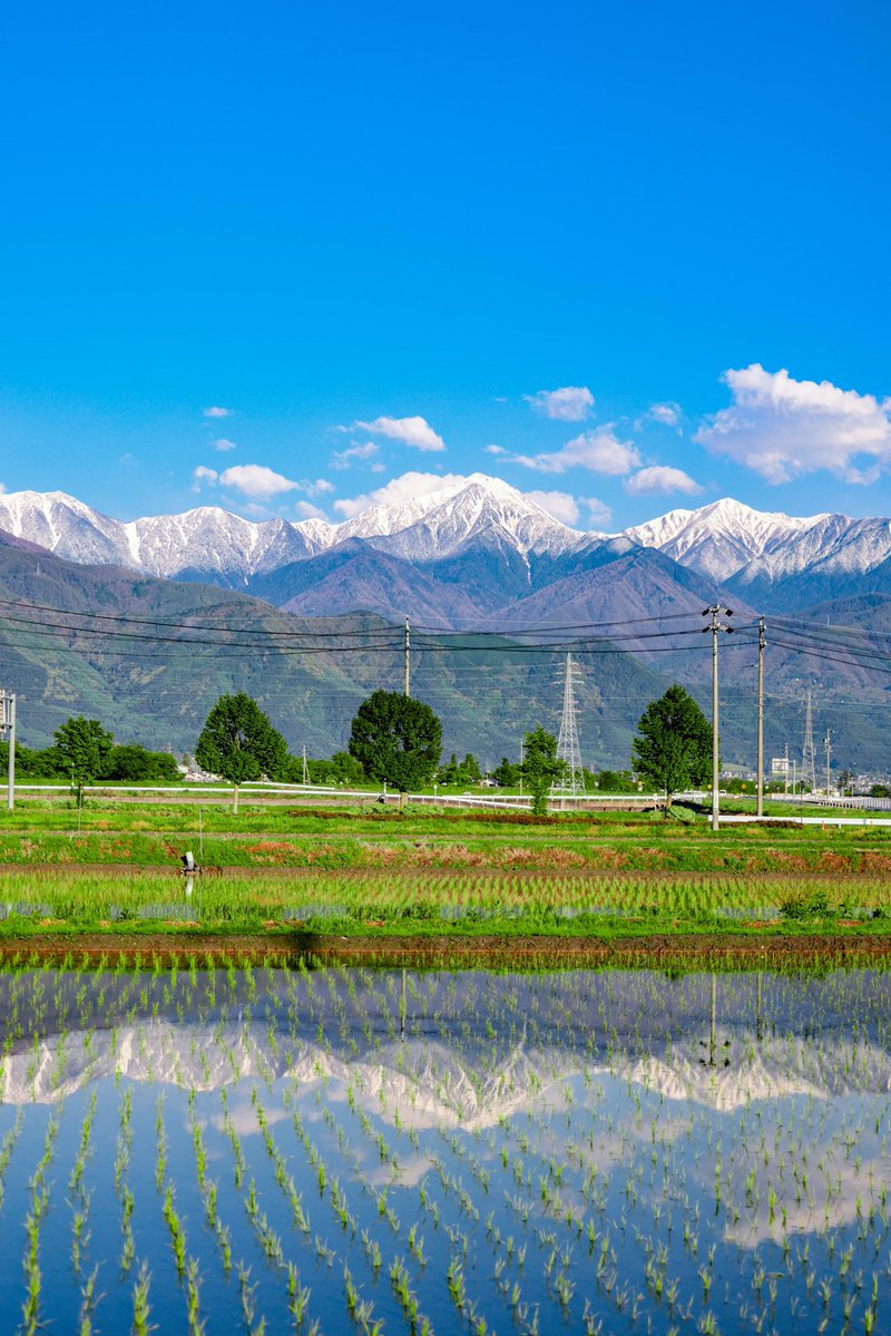 🦦Kana🏔 tweet media