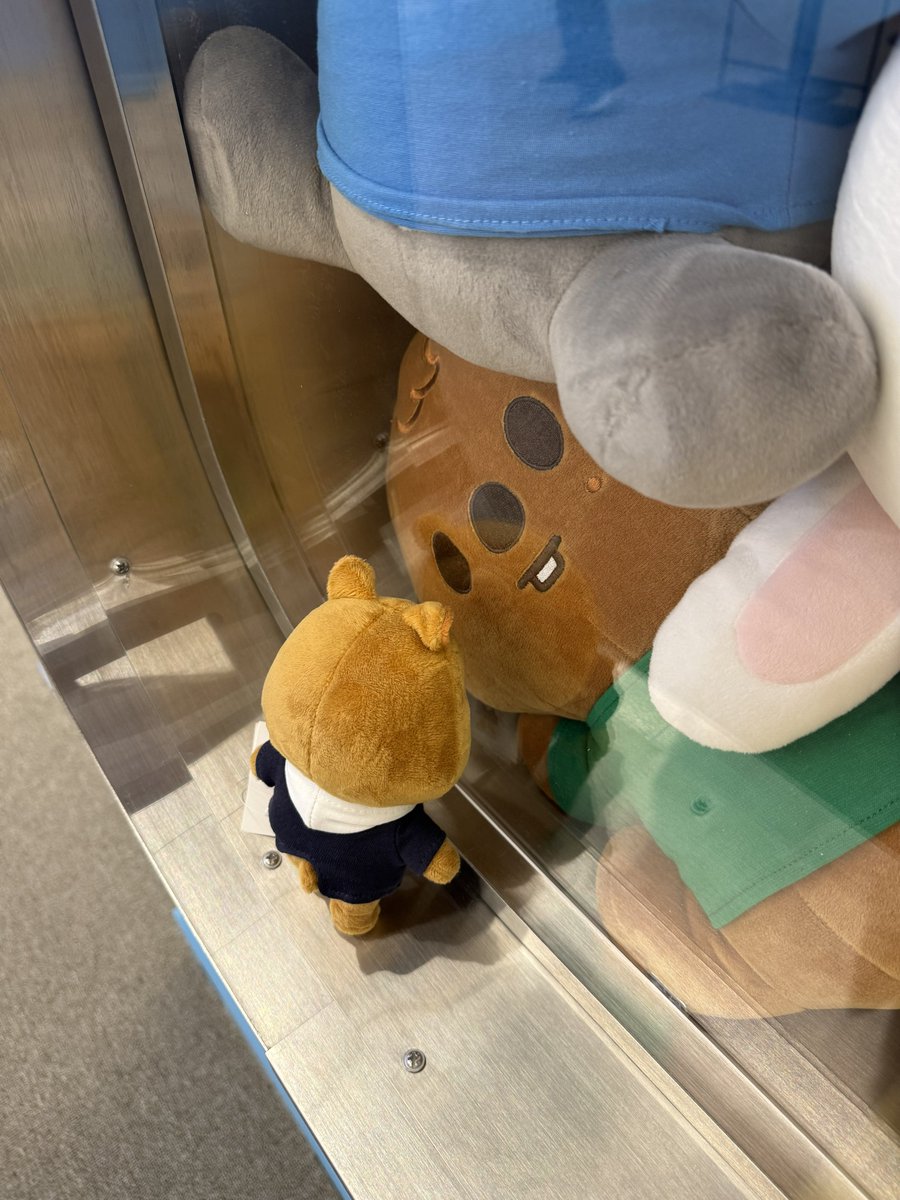 조아해 tweet media
