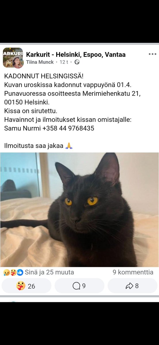 JP_Latti's tweet image. #Helsinki #Punavuori : Kadonnut / karannut kissa 🥺
