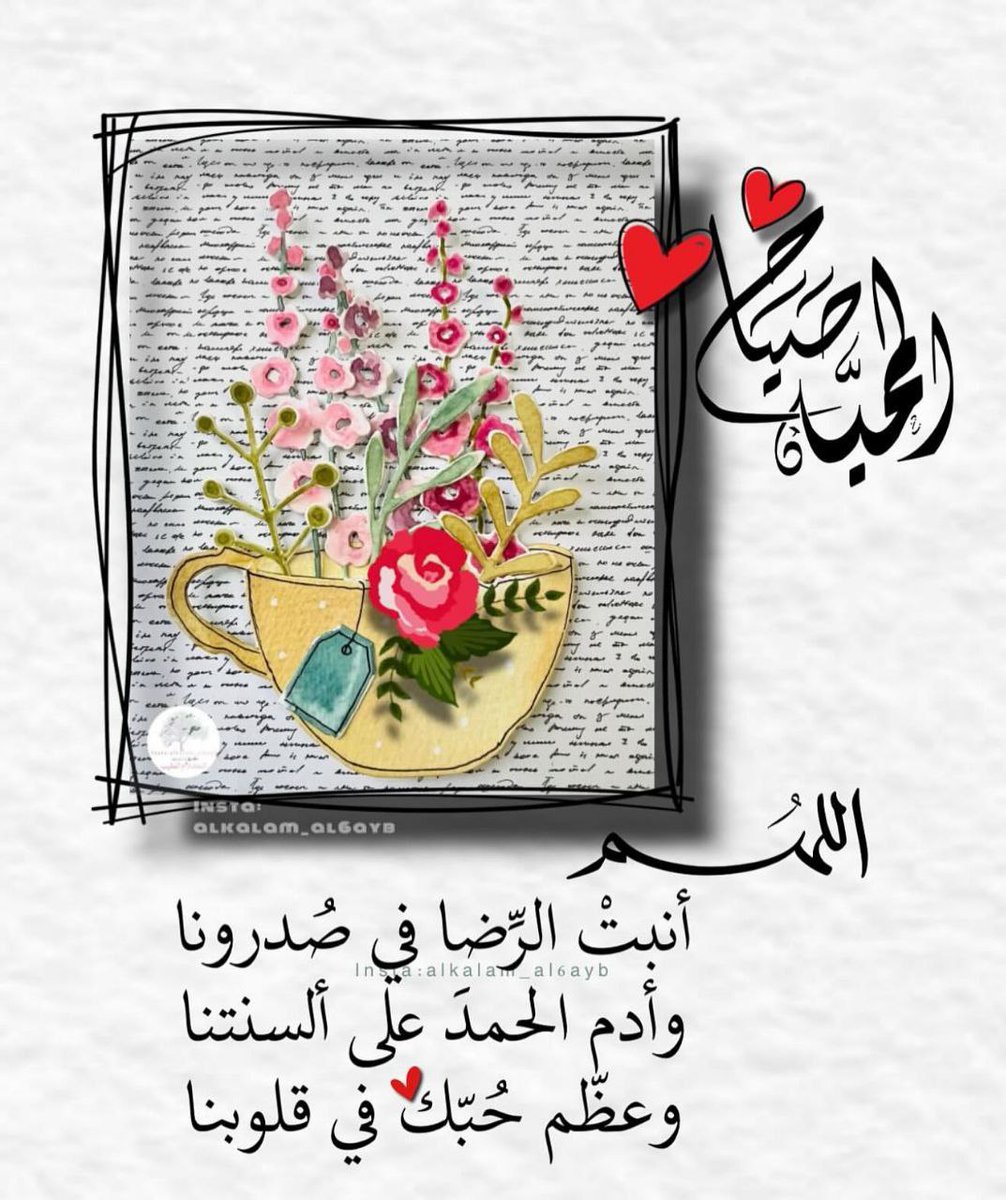 زينب tweet media
