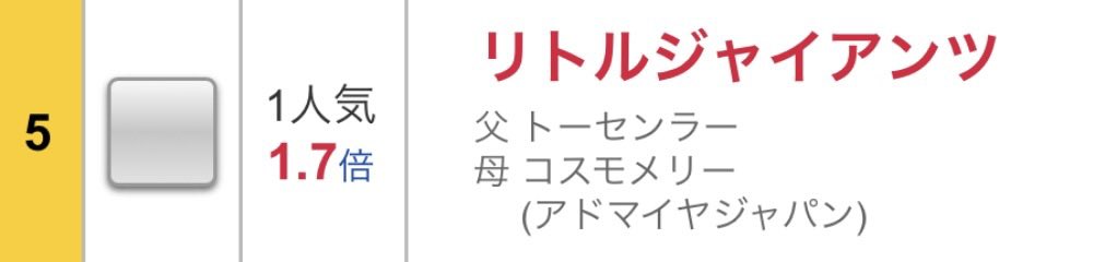 ききちゃん🧸🍊🛎️ tweet media