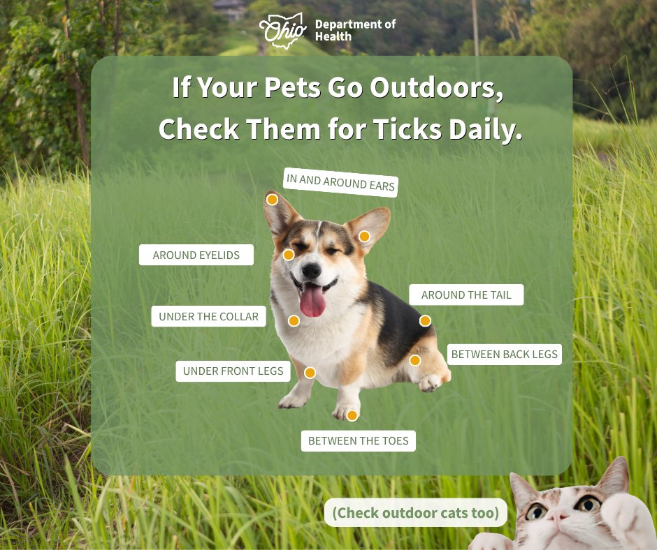OHdeptofhealth's tweet image. Hello May, and hello 80 degree days!
Before you run outside to enjoy the beautiful spring weather, lets talk Lyme disease for a second...
Learn more about Lyme disease and tick bite prevention: bit.ly/3P9eC2I 
#LymeDiseaseAwarenessMonth #LymeDisease #Ticks