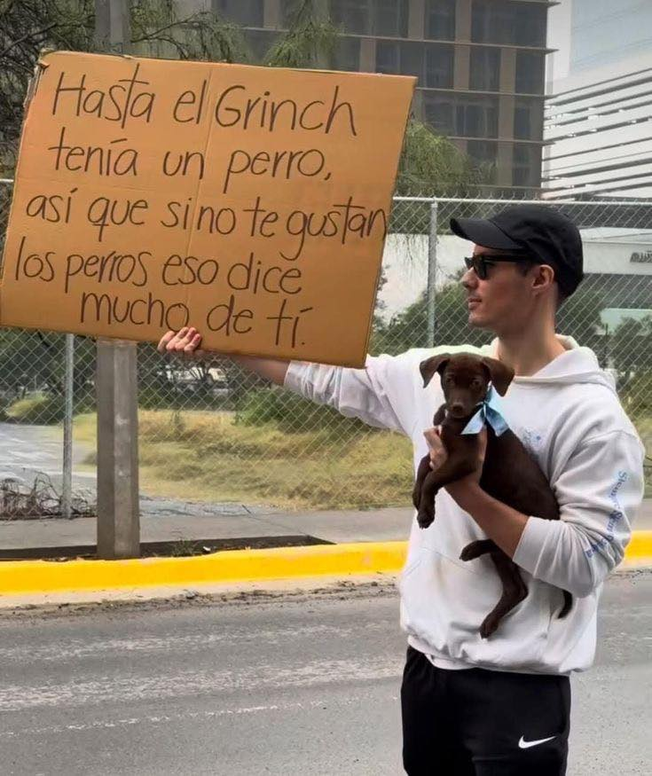 Rincón Curioso tweet media