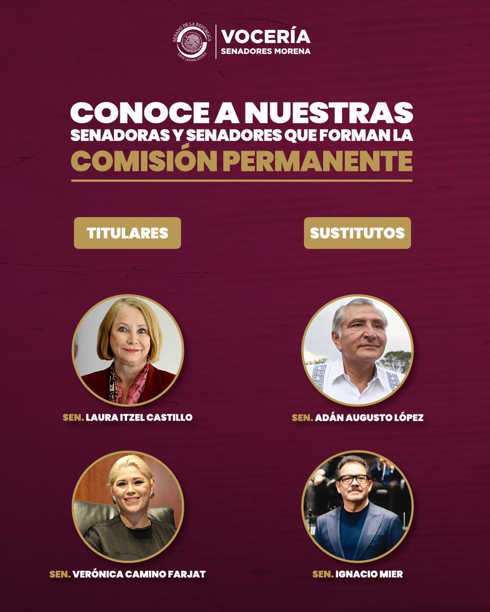 Senadores Morena tweet media