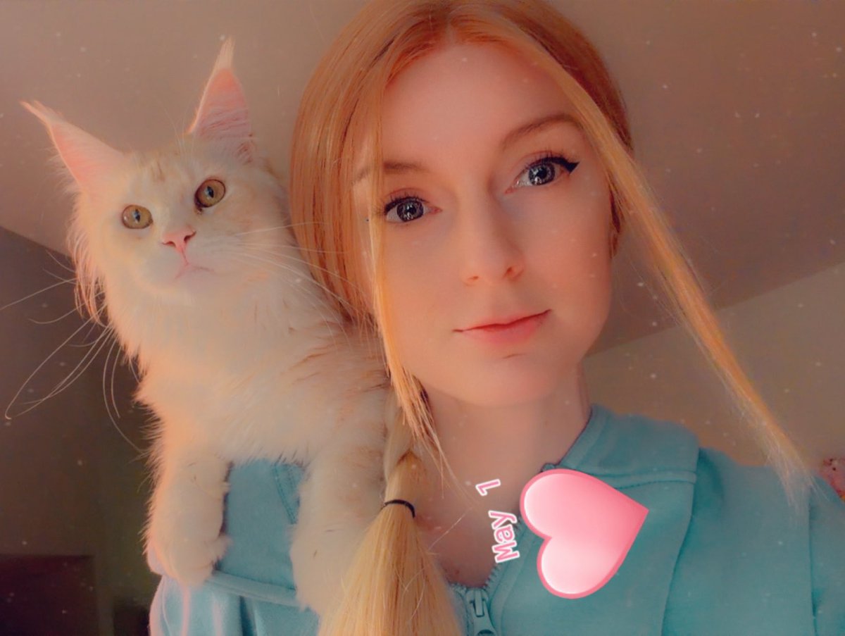 🐹OnlyHams🐹 & other pets tweet media