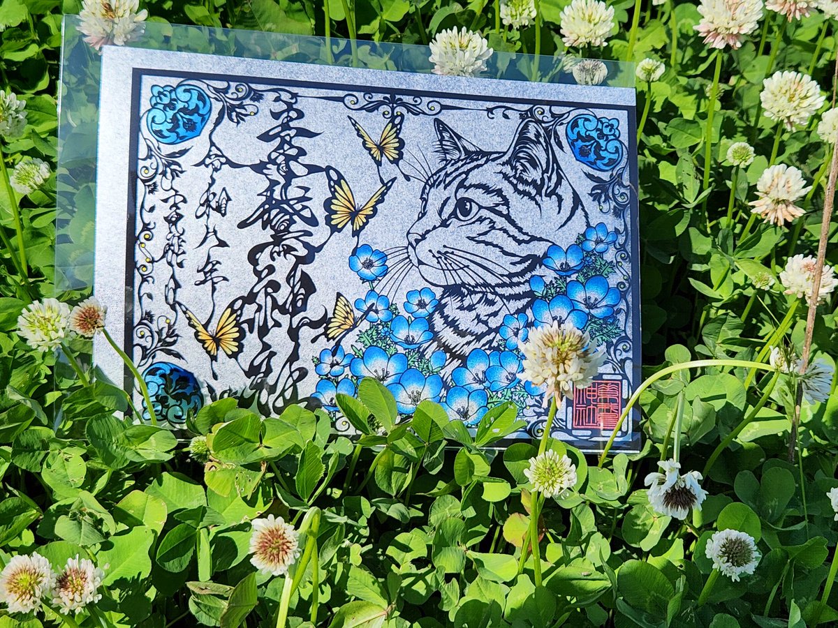 御朱印 ネモフィラ 猫 素鵞神社 猫とネモフィラの御朱印😸 先着100枚は銀のだい紙あり✨ #素